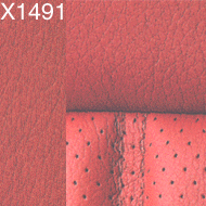 Illustration of colour RED LEATHER