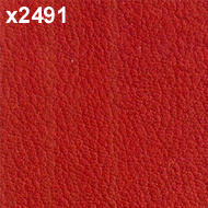 Illustration of colour RED LEATHER