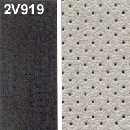 Illustration of colour ANTHRACITE/LIGHT GREY LEATHER